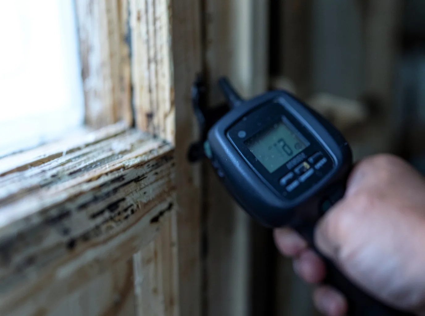 Moisture Inspection And Documentation in Goshen, VA